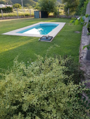 Verde Encanto